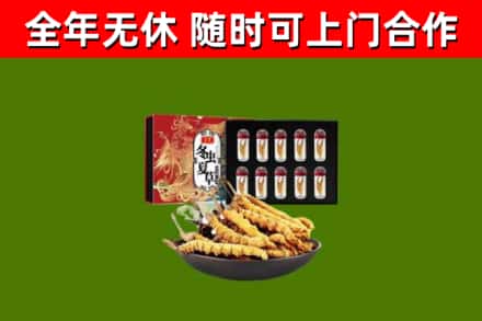 舟山市回收冬虫夏草价格